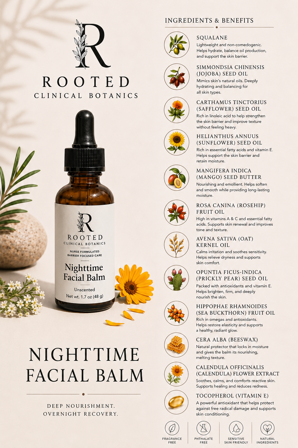 Benefits of ingredients included in nighttime facial oil